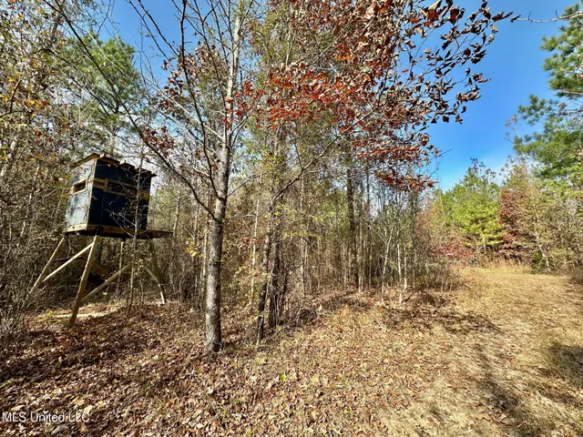 $299,000 | 0 County Road 3122, French Camp, MS 39745