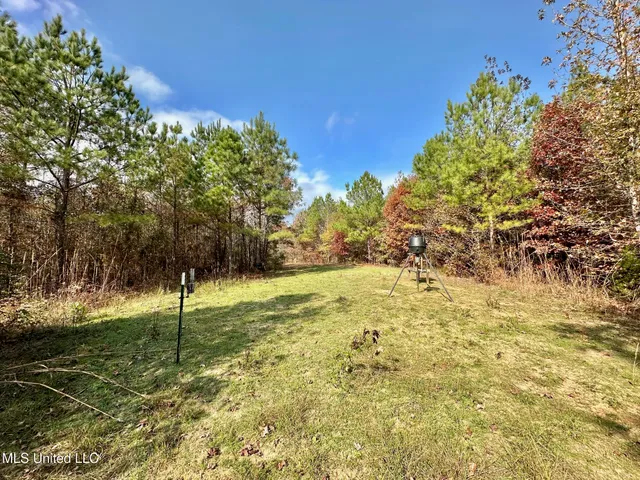 $299,000 | 0 County Road 3122, French Camp, MS 39745