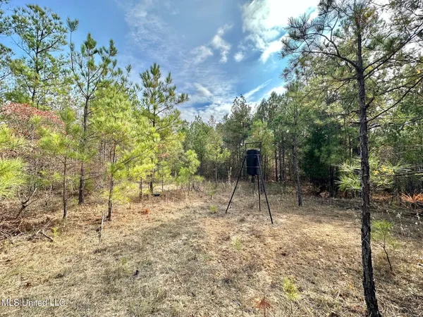 $235,000 | 0 County Road 3122, French Camp, MS 39745