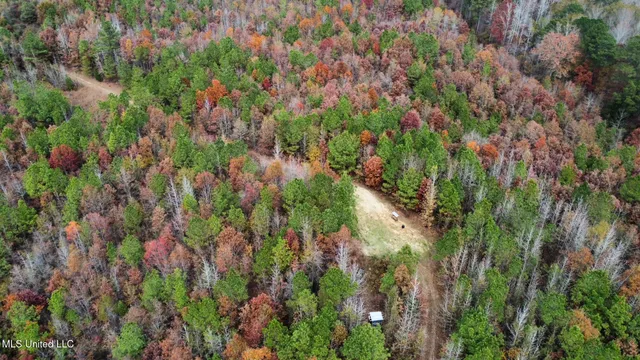 $299,000 | 0 County Road 3122, French Camp, MS 39745