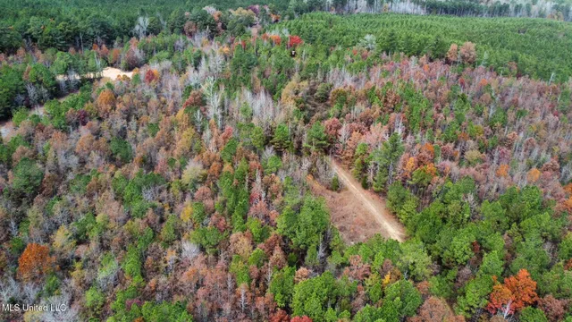 $299,000 | 0 County Road 3122, French Camp, MS 39745