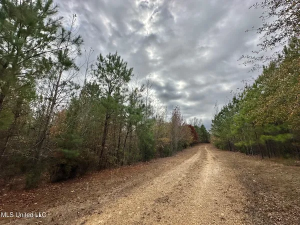 $235,000 | 0 County Road 3122, French Camp, MS 39745