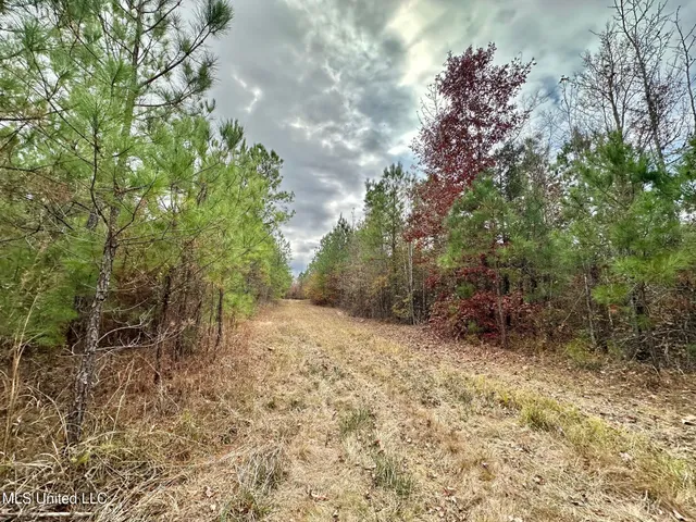 $299,000 | 0 County Road 3122, French Camp, MS 39745