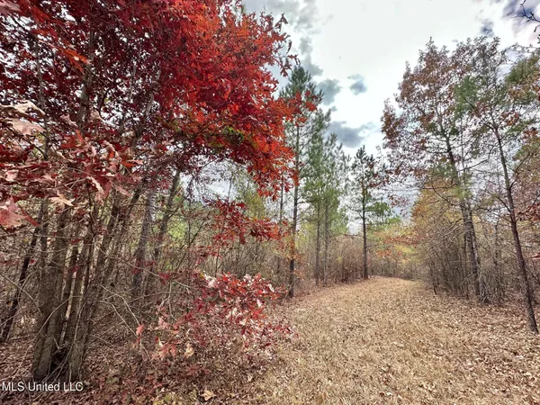 $235,000 | 0 County Road 3122, French Camp, MS 39745