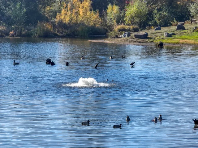 $1,299,000 | 9260 Miners Crossing, Loomis, CA 95650