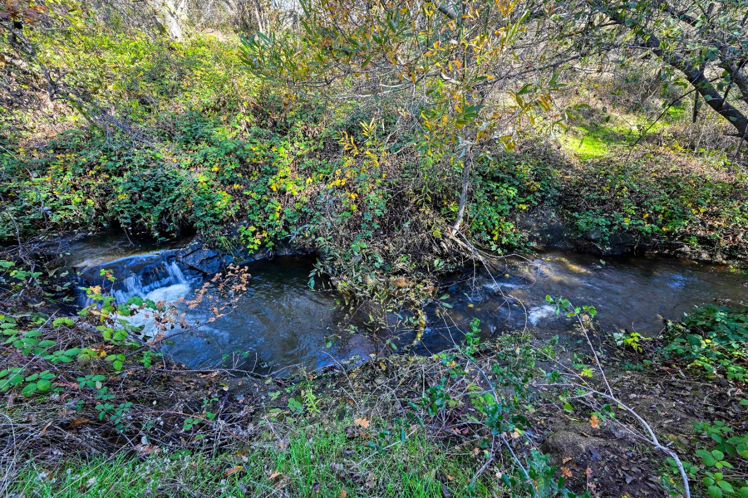 9260 Miners Crossing Loomis, CA 95650 - Photo 69 of 73