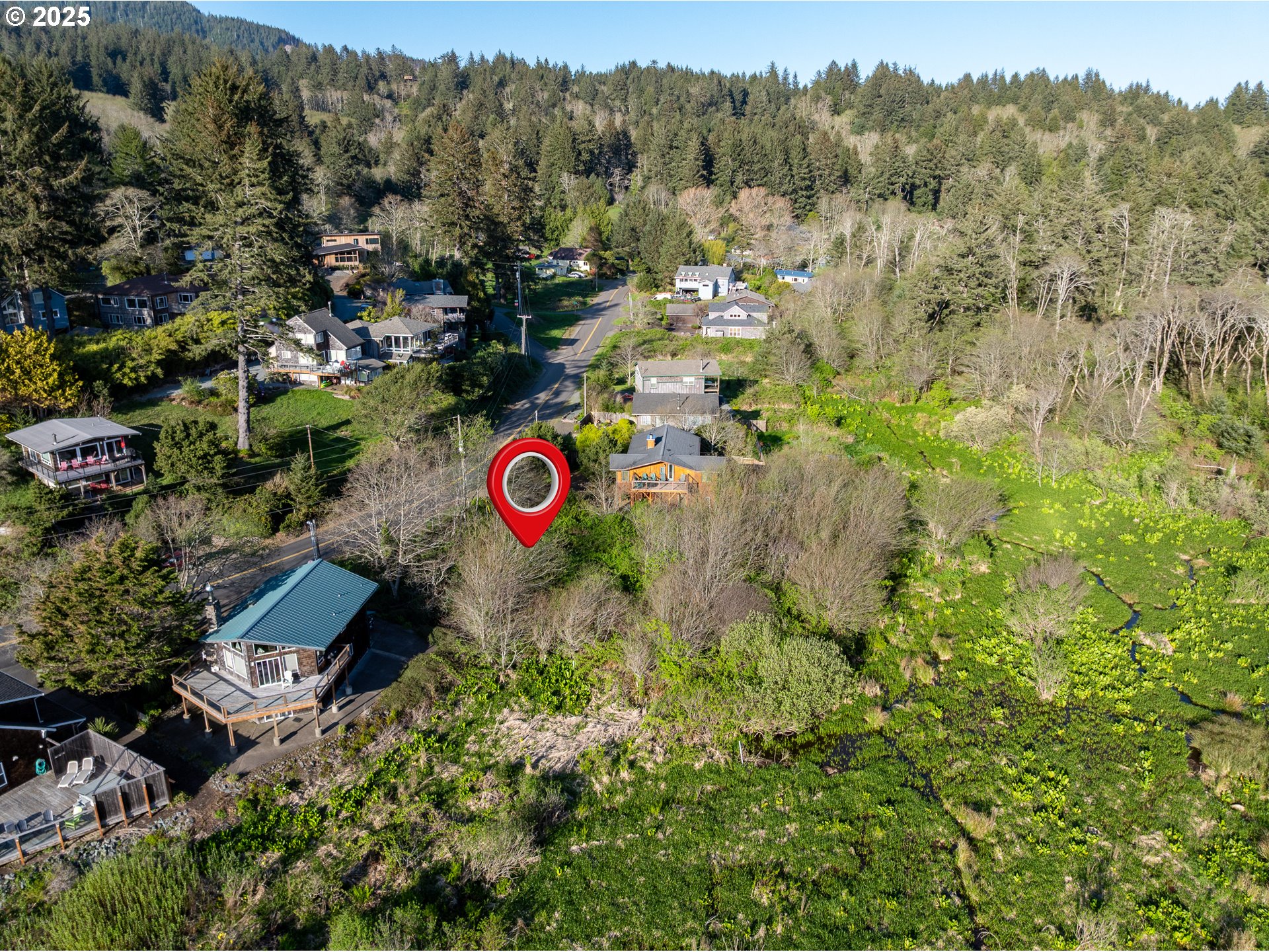 Nehalem Road Manzanita, OR 97130 - Photo 8 of 16 a view of a lush green forest with lots of trees