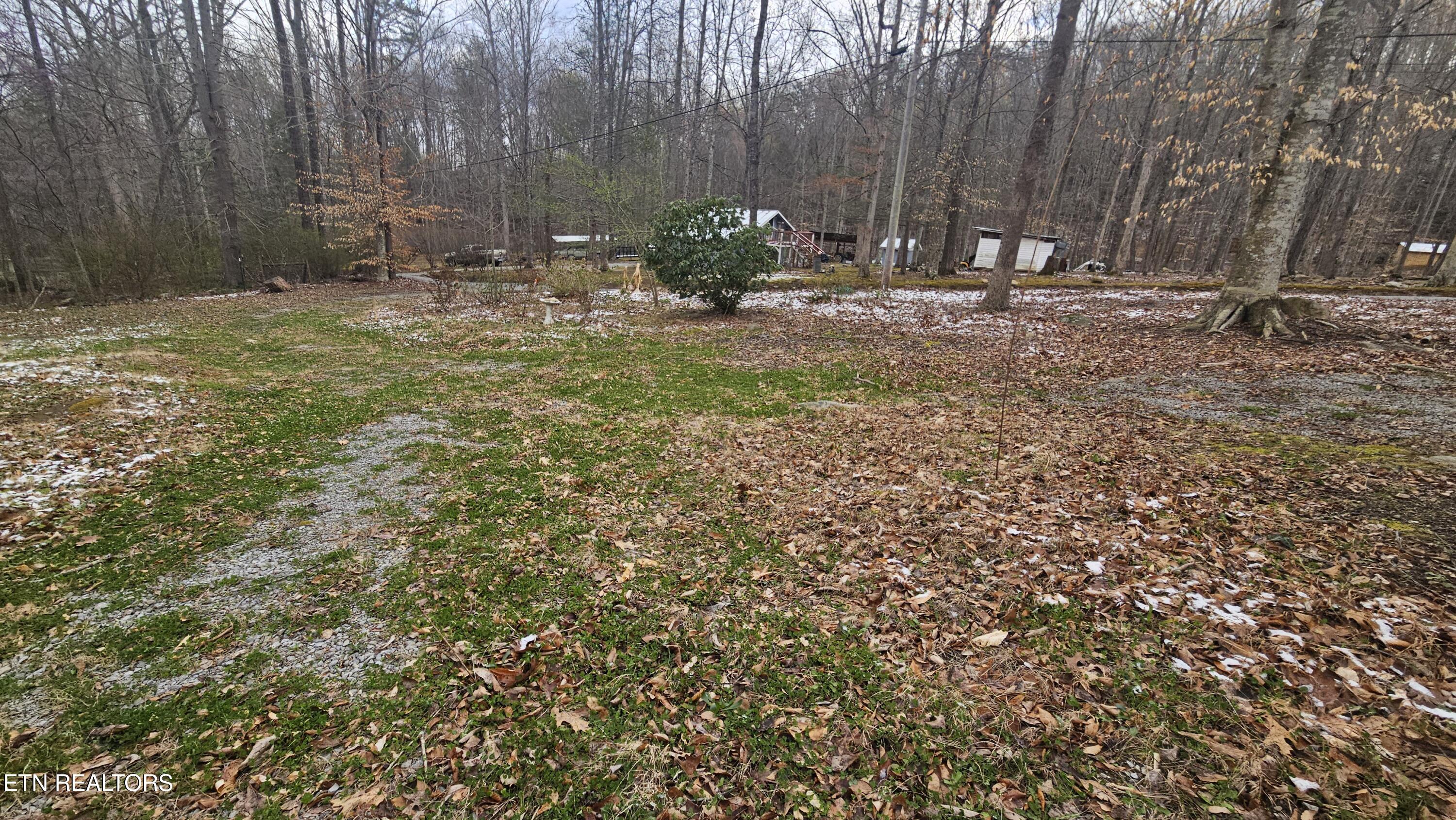 1635 Old Chilhowee Road Seymour, TN 37865 - Photo 11 of 29 20260317_102318