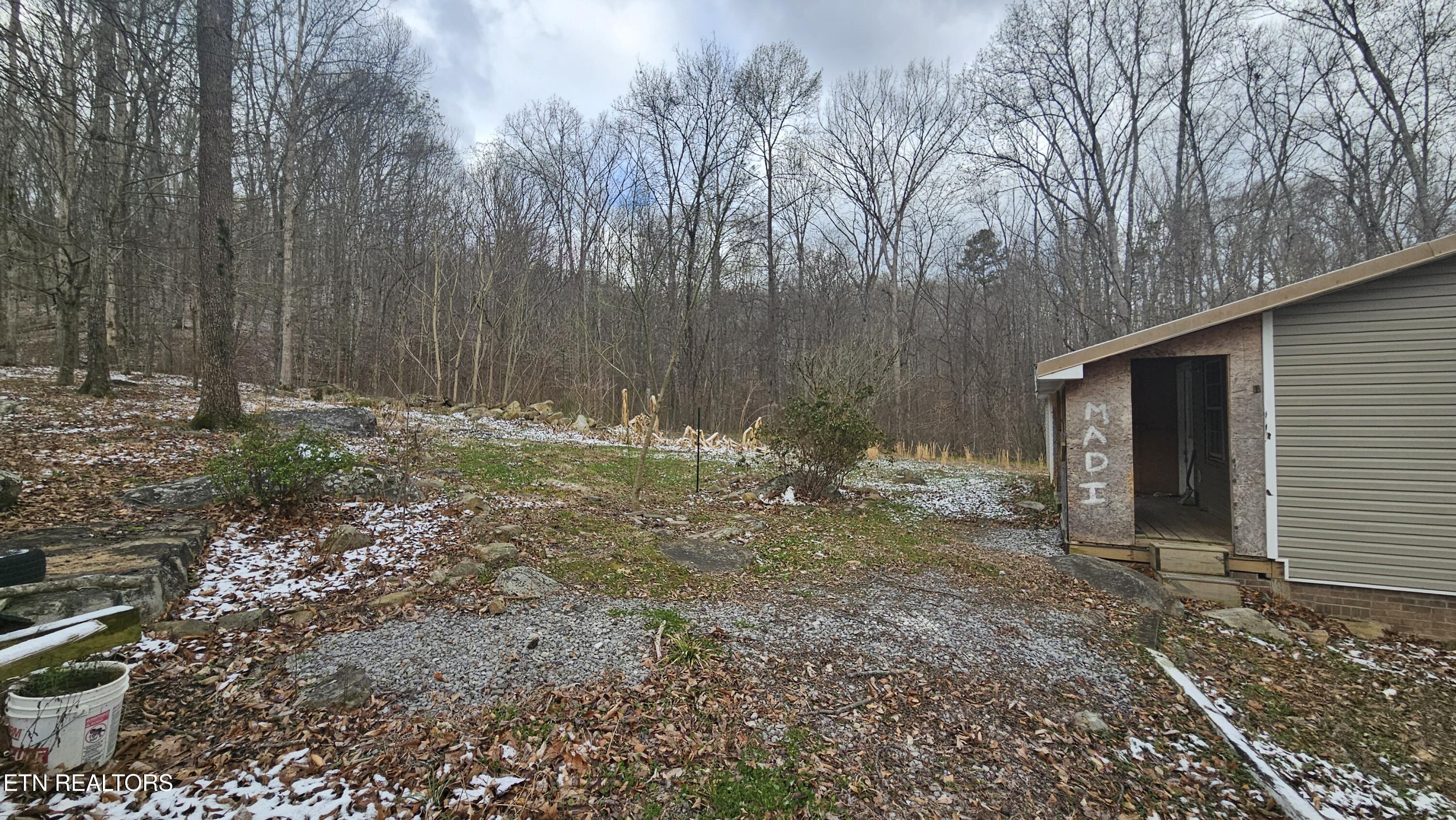 1635 Old Chilhowee Road Seymour, TN 37865 - Photo 7 of 29 20260317_102244