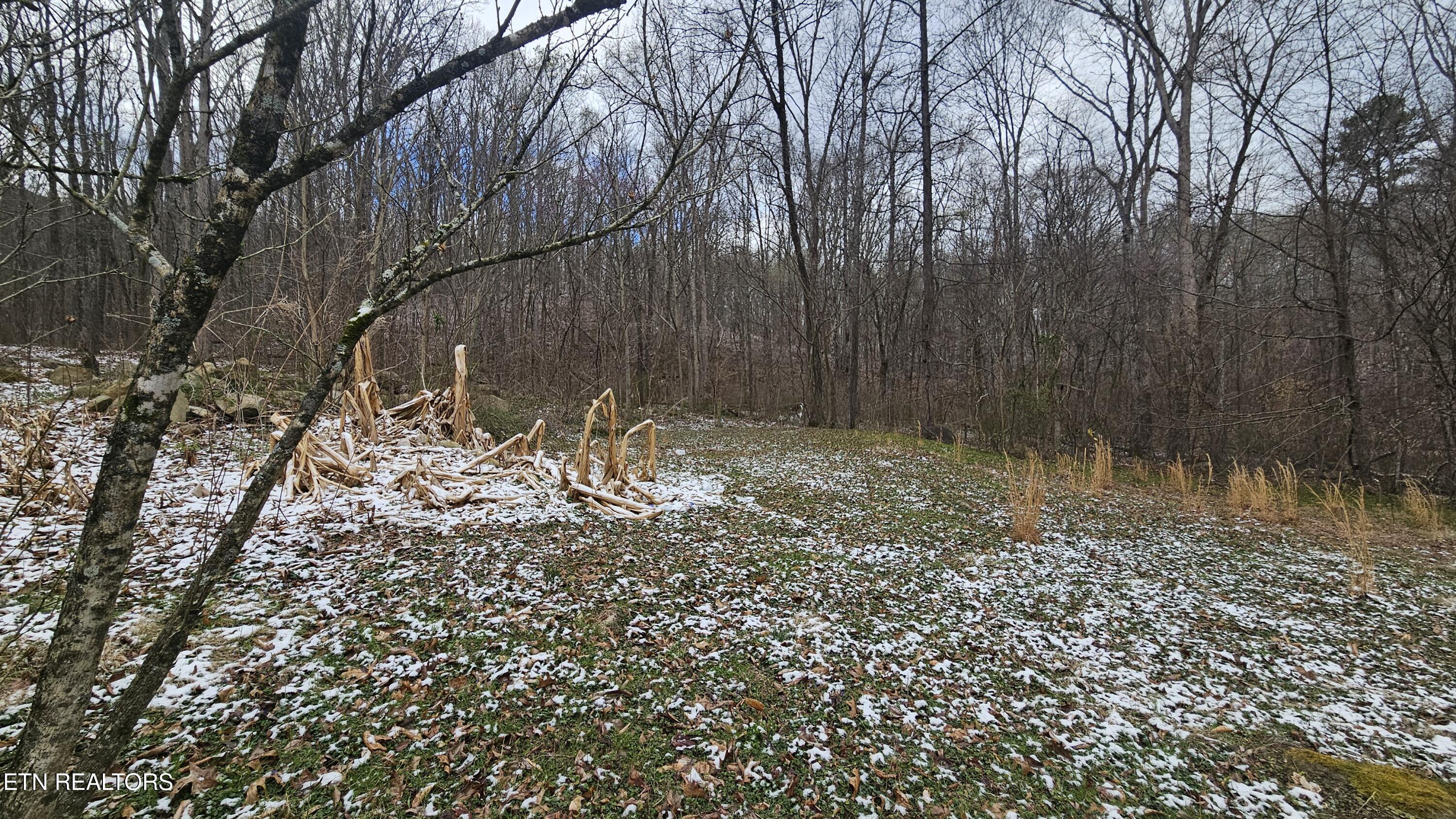 1635 Old Chilhowee Road Seymour, TN 37865 - Photo 9 of 29 20260317_103207