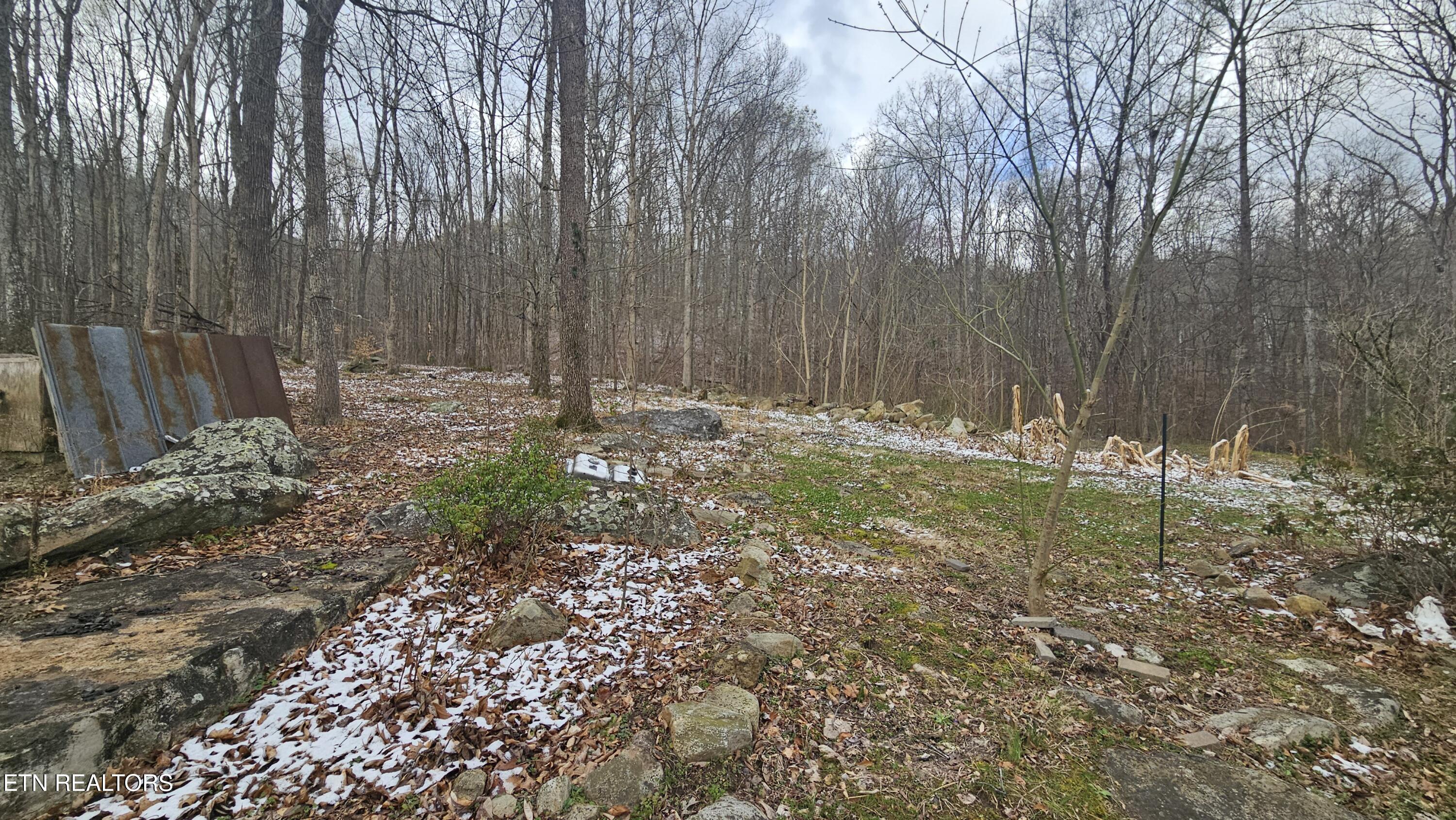 1635 Old Chilhowee Road Seymour, TN 37865 - Photo 10 of 29 20260317_102254