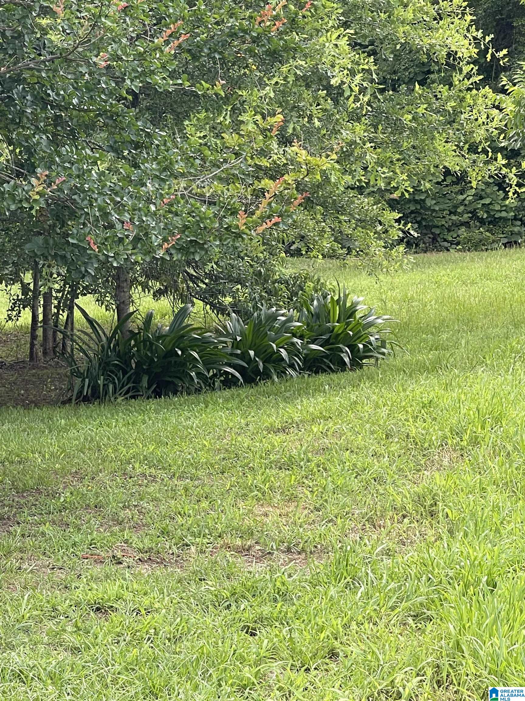 2003 Yellow Leaf Road Clanton, AL 35045 - Photo 13 of 21