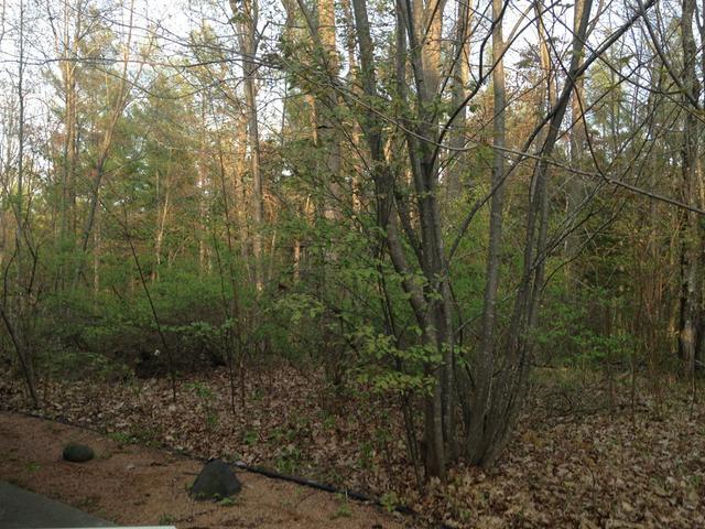 4391 Riopel Road Rhinelander, WI 54501 - Photo 20 of 20 Gallery Image 20