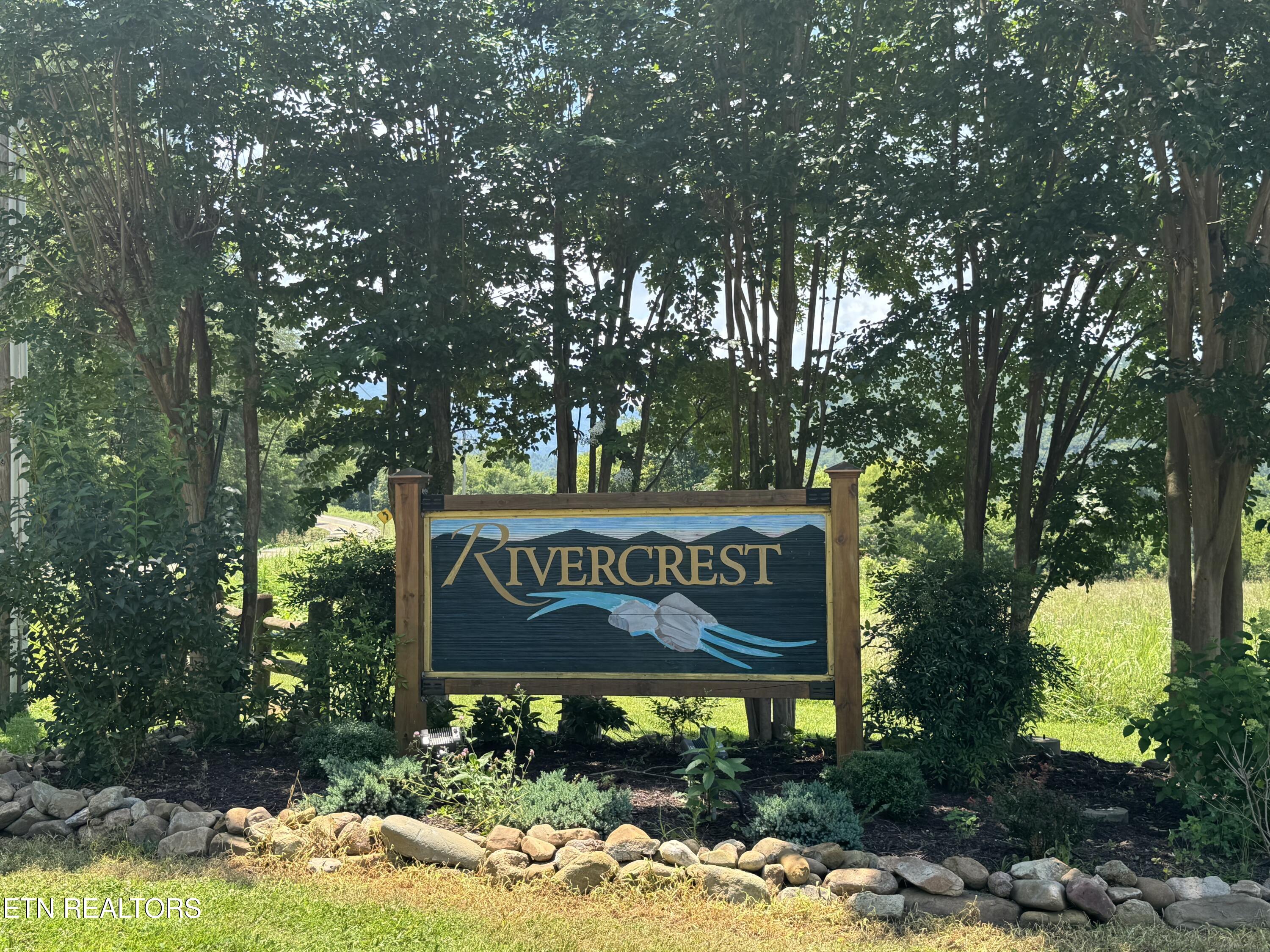 River Rapids Way Way Del Rio, TN 37727 - Photo 3 of 10 IMG_1578