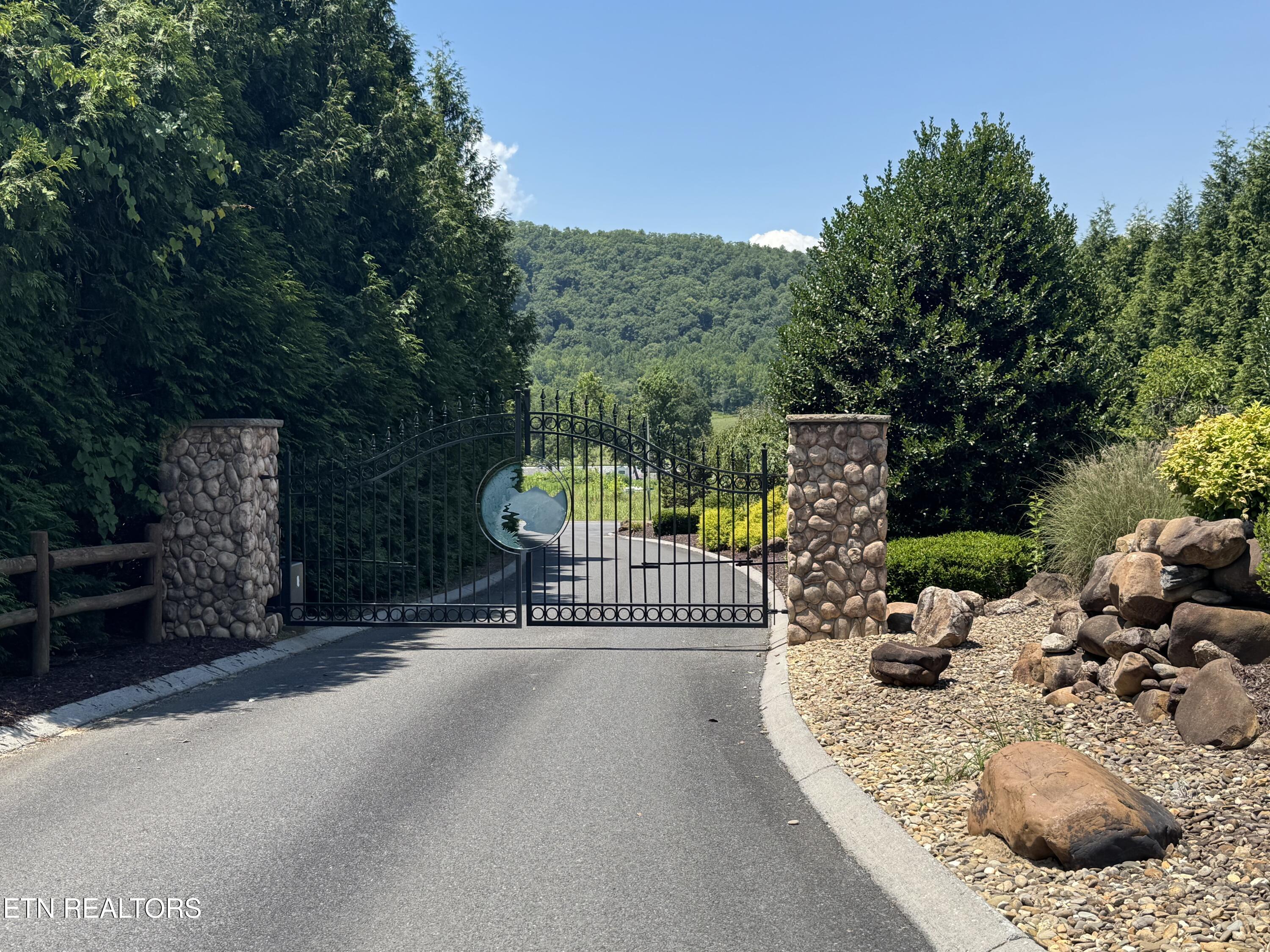 River Rapids Way Way Del Rio, TN 37727 - Photo 4 of 7 IMG_1576