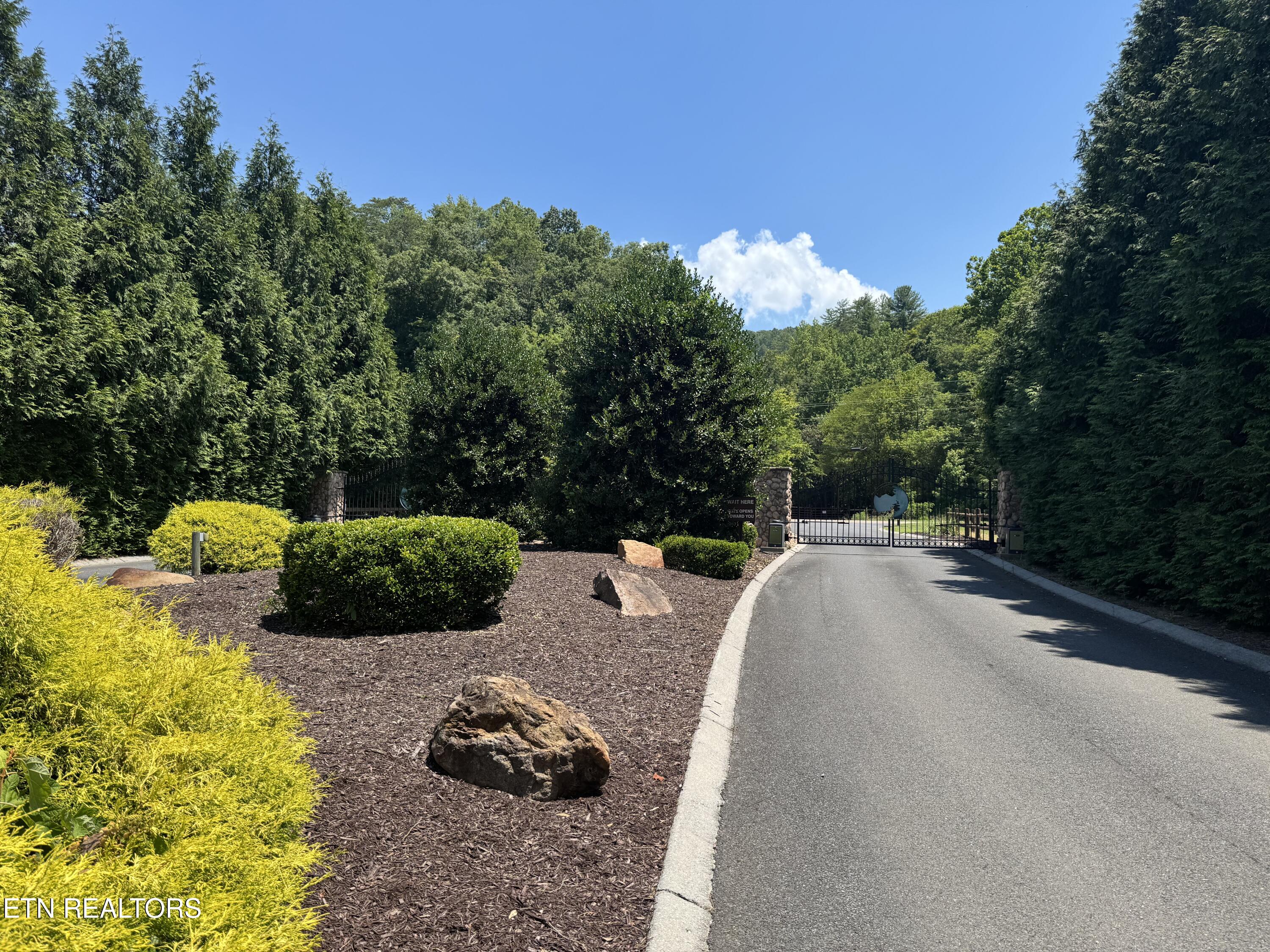 River Rapids Way Way Del Rio, TN 37727 - Photo 6 of 7 IMG_1572