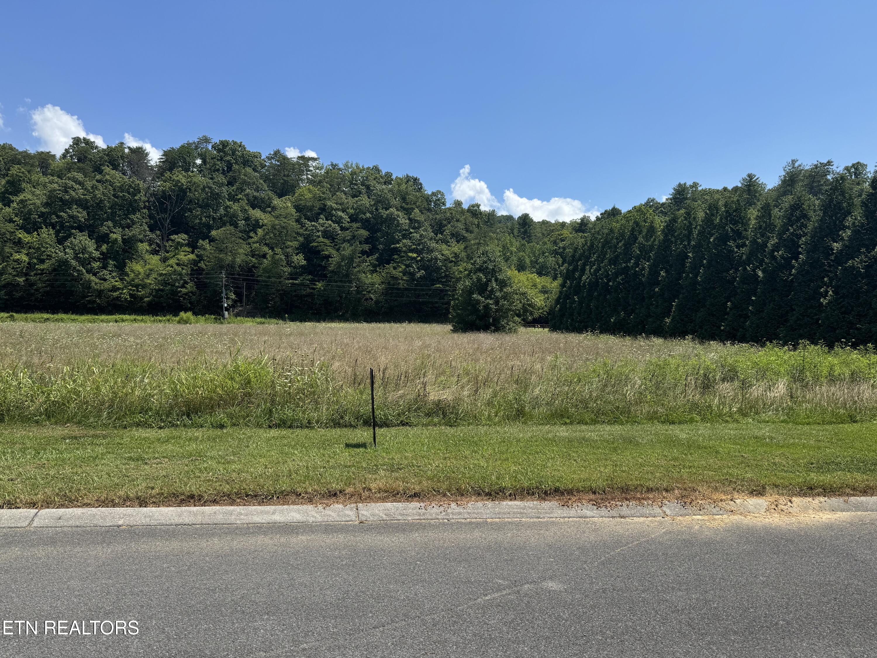 River Rapids Way Way Del Rio, TN 37727 - Photo 7 of 7 IMG_1567