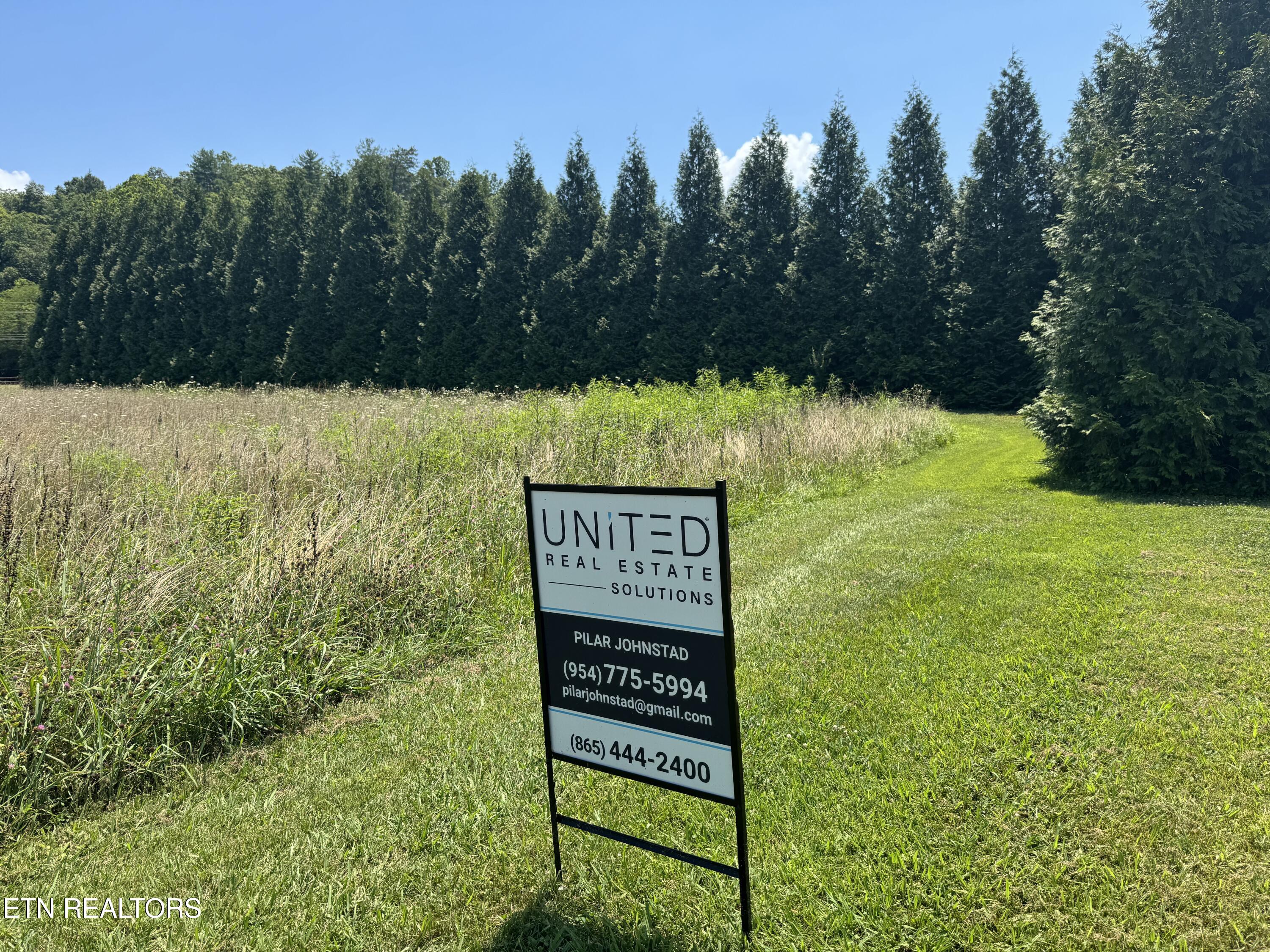 River Rapids Way Way Del Rio, TN 37727 - Photo 10 of 10 IMG_1563