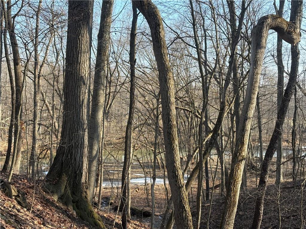 367 Studebaker Road Slippery Rock, PA 16057 - Photo 11 of 14 a backyard of a house with lots of green space