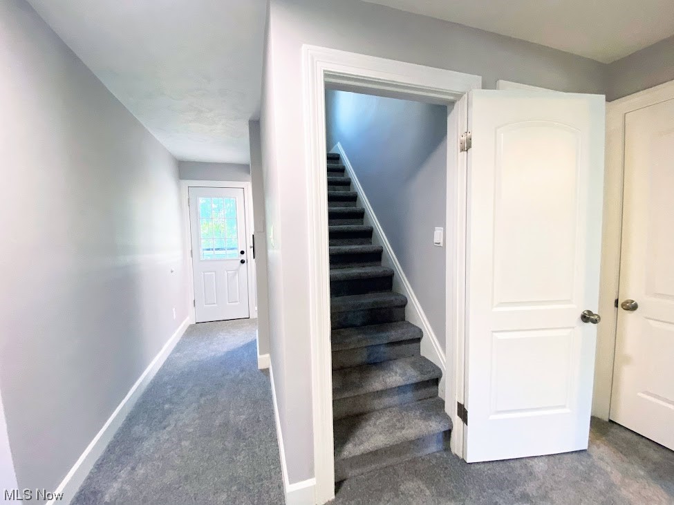 2140 Reyburn Road Cleveland, OH 44112 - Photo 15 of 18 Stairs with dark colored carpet