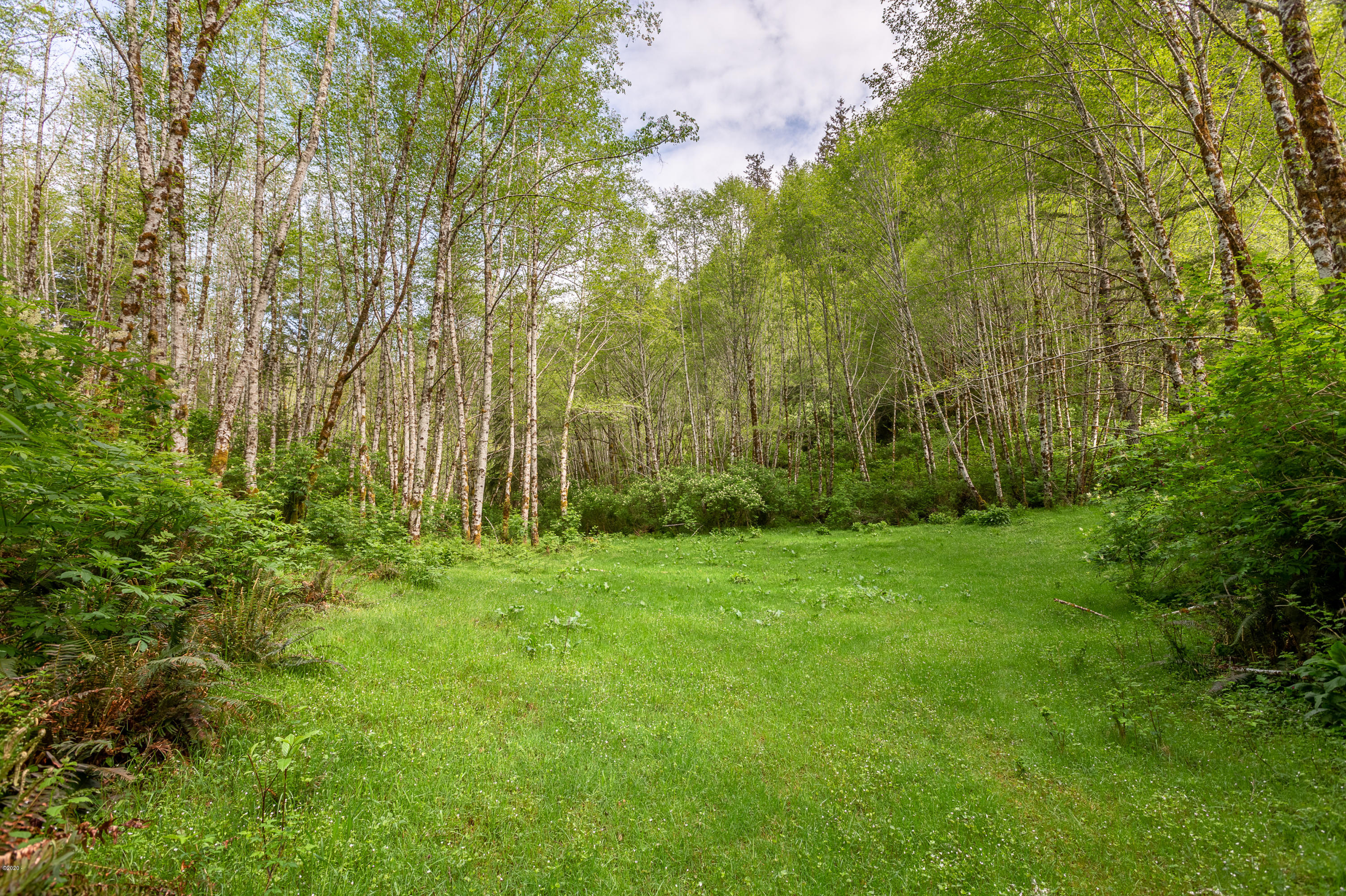 1266 North Yachats River Road Yachats, OR 97498 - Photo 75 of 79 Meadows
