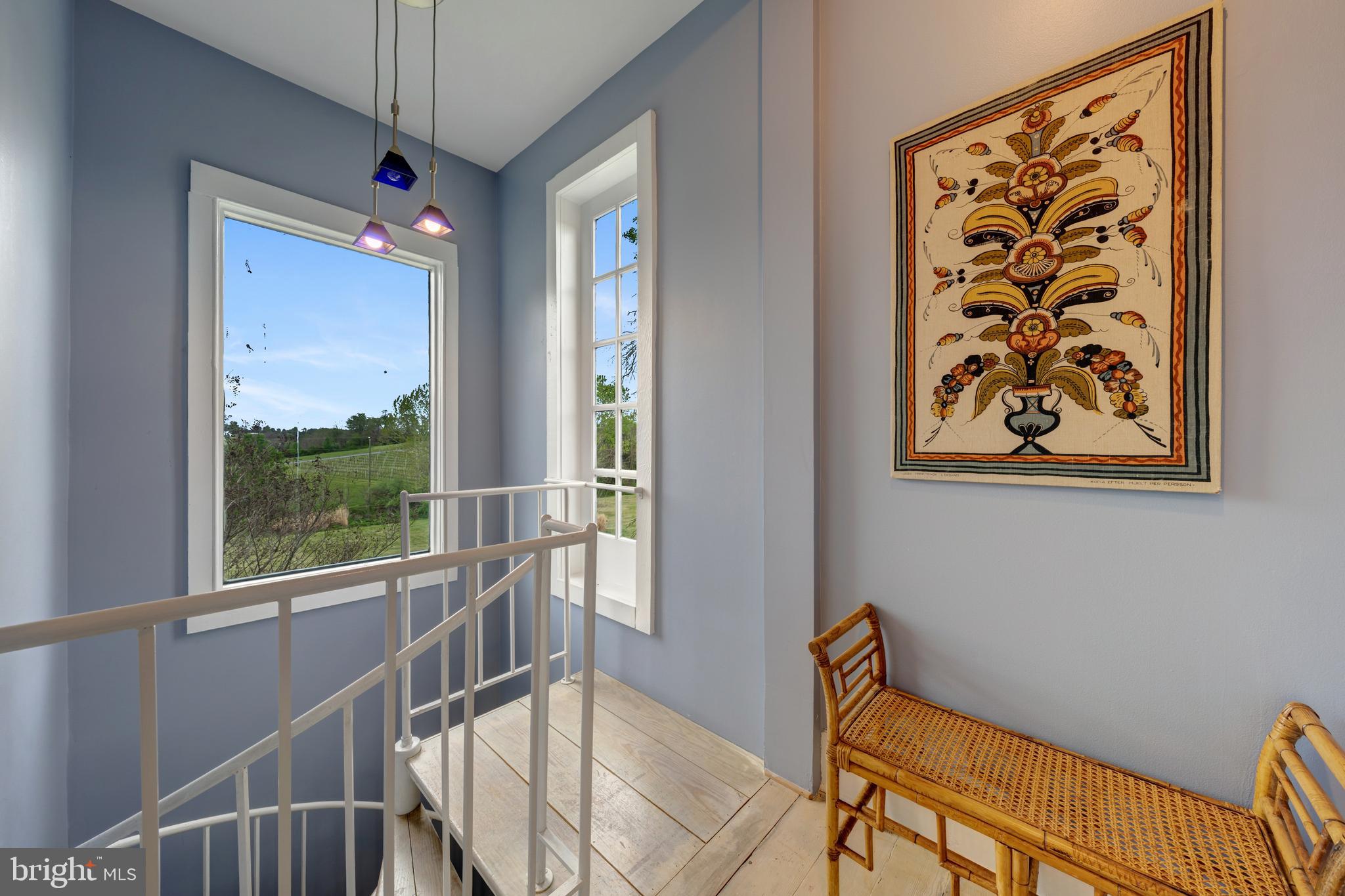 3691 Conicville Road Mount Jackson, VA 22842 - Photo 44 of 50