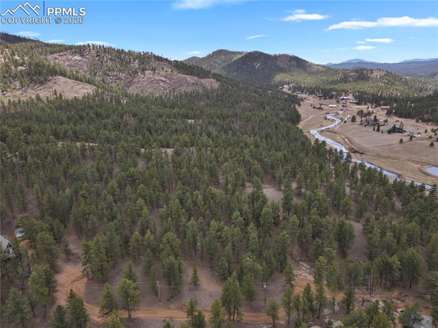 80 South Crystal Road Lake George, CO 80827 - Photo 41 of 48 Gallery Image 41