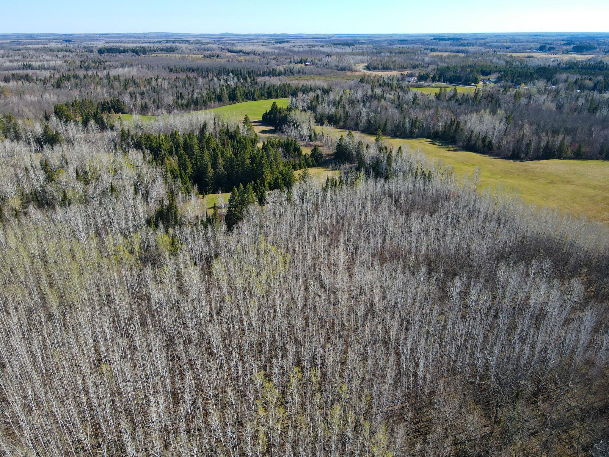 Parcel D Township Road East Floodwood, MN 55736 - Photo 21 of 22