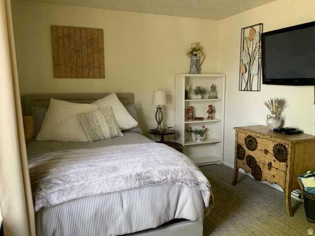1061 Copper Street Stockton, UT 84071 - Photo 29 of 43 Carpeted room featuring a neutral color palette, a corner bookshelf, and a wall-mounted television