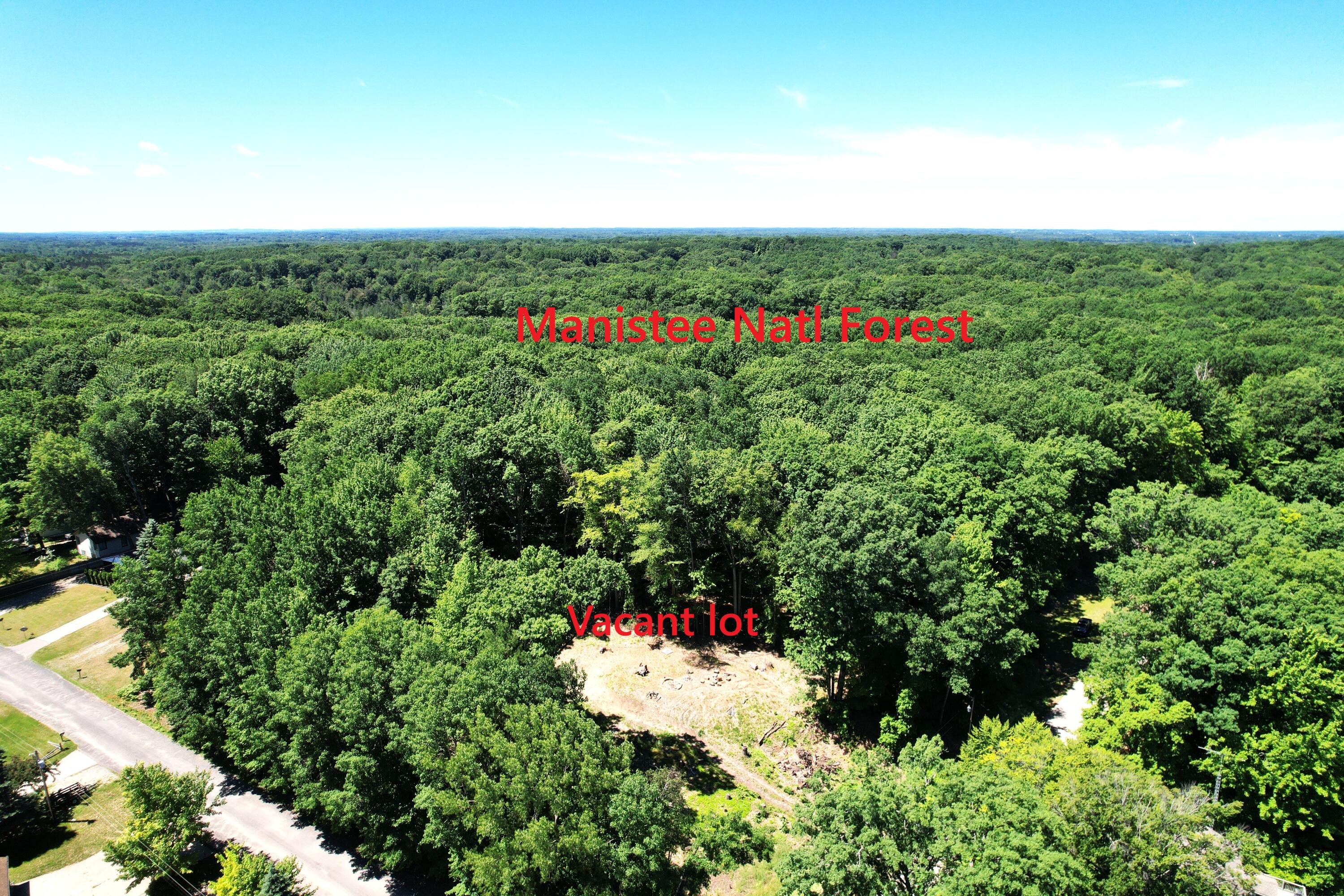 4209 East Town Line Road Fountain, MI 49410 - Photo 3 of 18 Manistee Natl Forest
