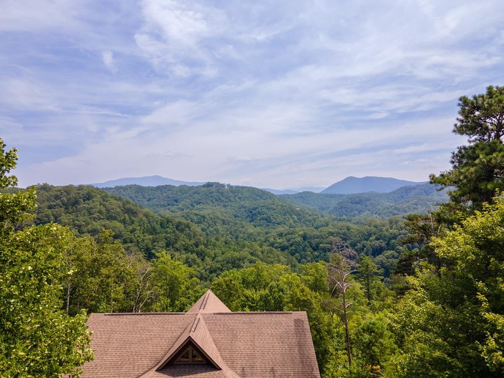 30 Ridgeback Lane Sevierville, TN 37862 - Photo 33 of 34