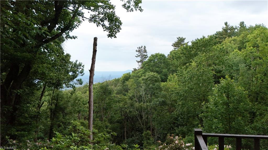 54 Overlook Way Fancy Gap, VA 24328 - Photo 26 of 32