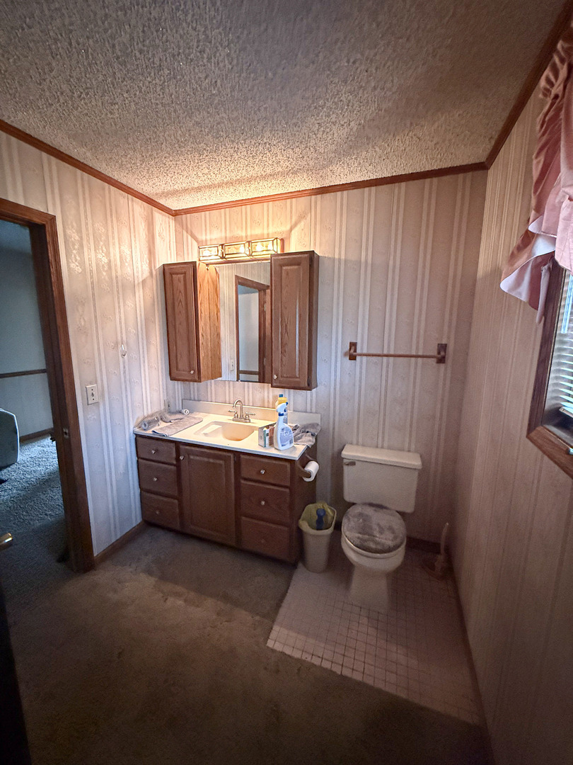 1599 East 2700 North Road Clifton, IL 60927 - Photo 21 of 26 a bathroom with a sink a toilet a mirror and shower curtain