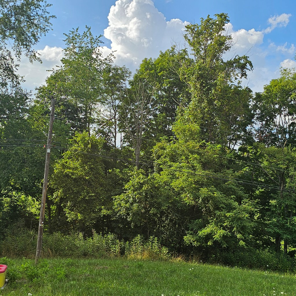 0 Widener Valley Road Glade Spring, VA 24340 - Photo 9 of 16 Gallery Image 9