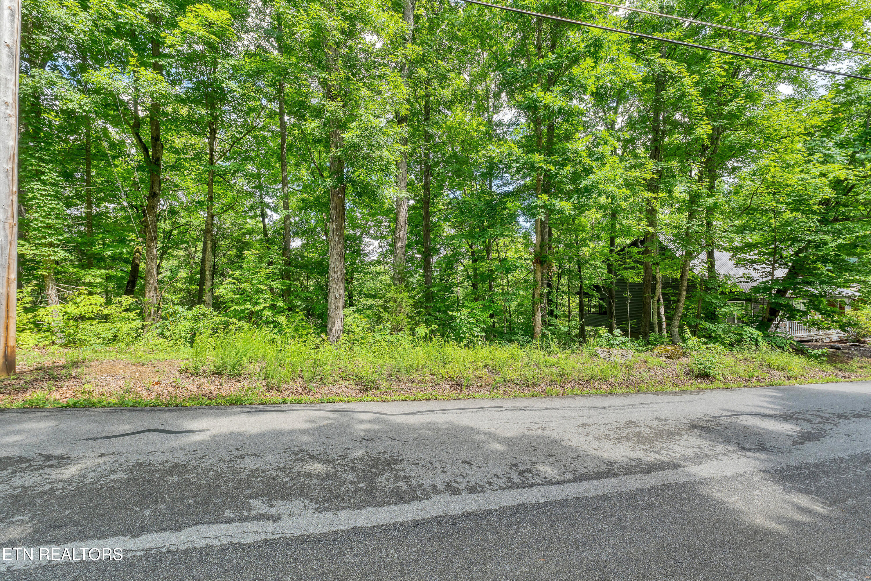 424 Laurel Road Townsend, TN 37882 - Photo 4 of 4 DSC01240_17-2