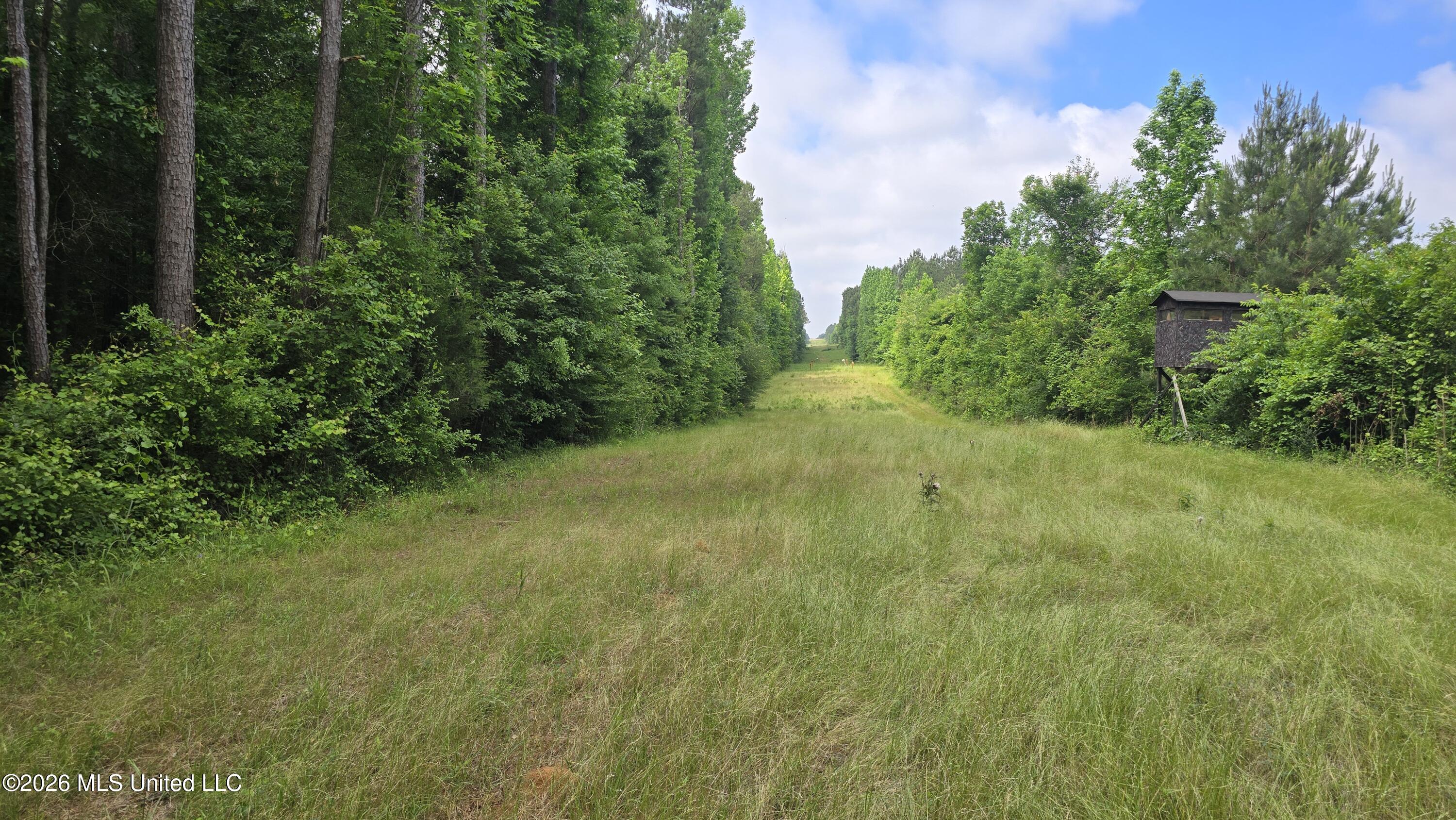 189 Co Road Bay Springs, MS 39422 - Photo 30 of 61 20260513_105324