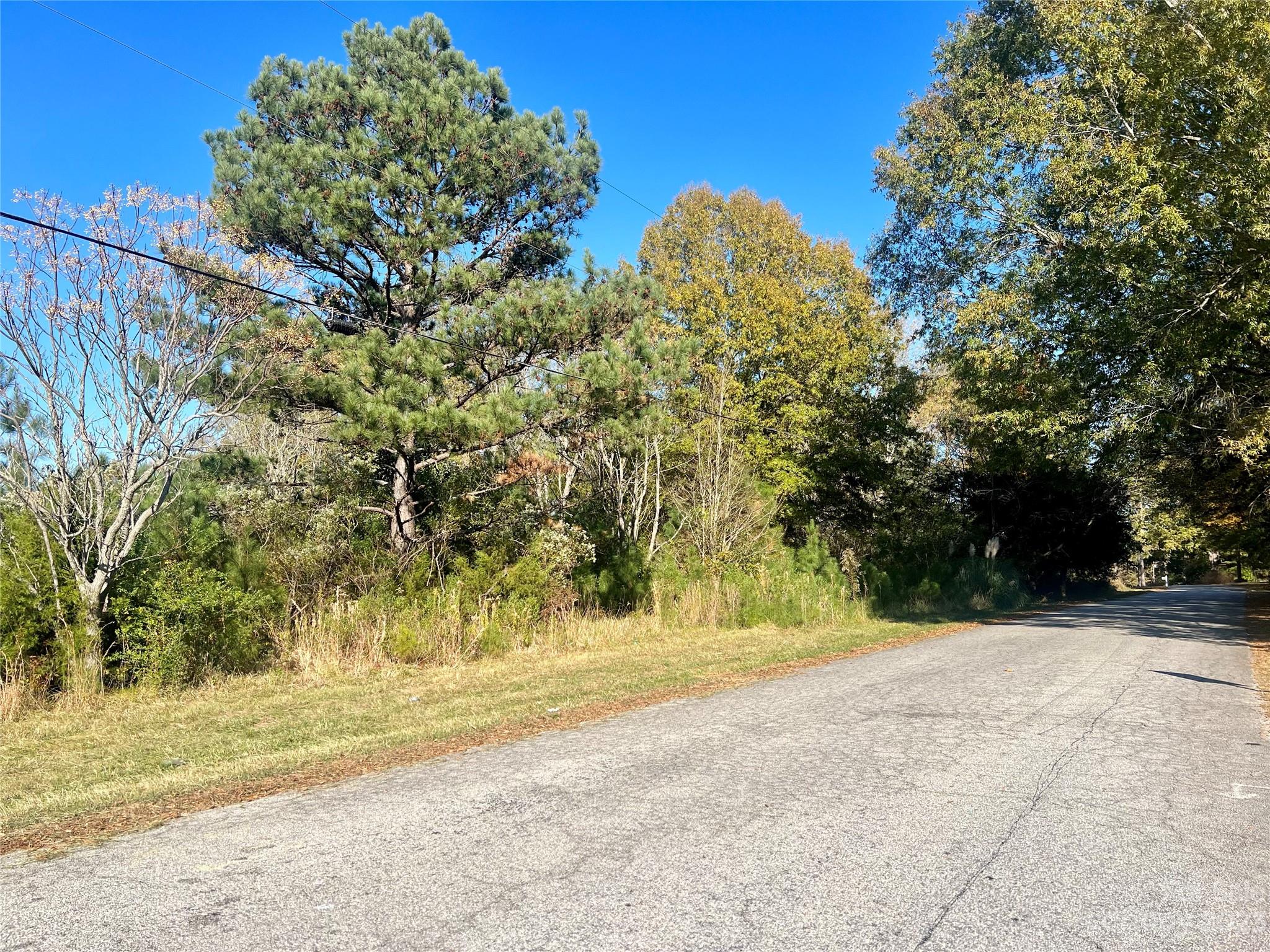 3.04-acres Memorial Park Road Lancaster, SC 29720 - Photo 5 of 11 a view of a yard with an trees