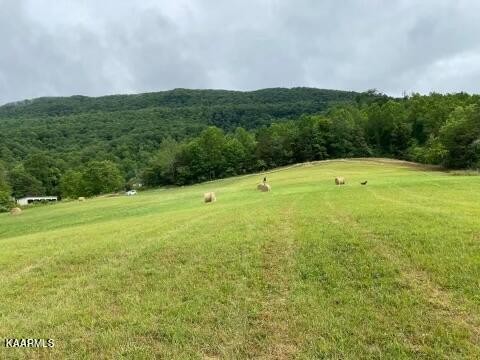 556 Wilson Gap Road Speedwell, TN 37870 - Photo 8 of 14 Gallery Image 8