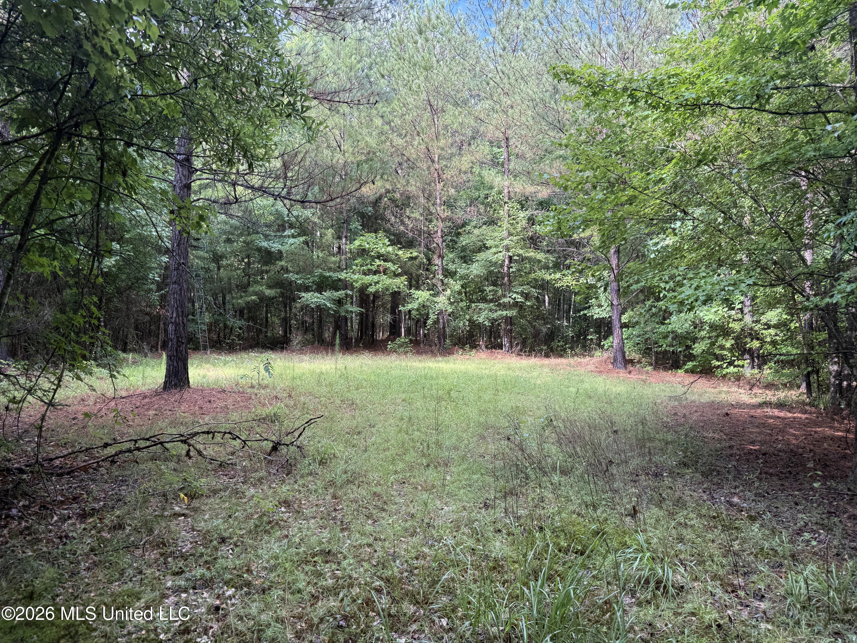 2136 Co Road McCool, MS 39108 - Photo 10 of 29 9