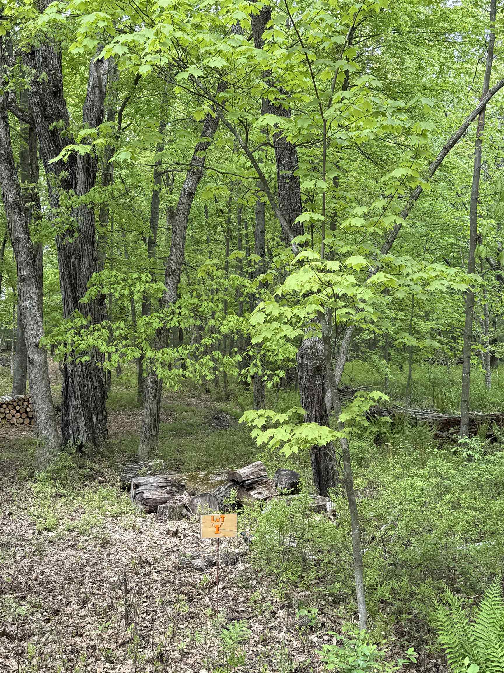 N3381 Deer Run Montello, WI 53949 - Photo 19 of 24