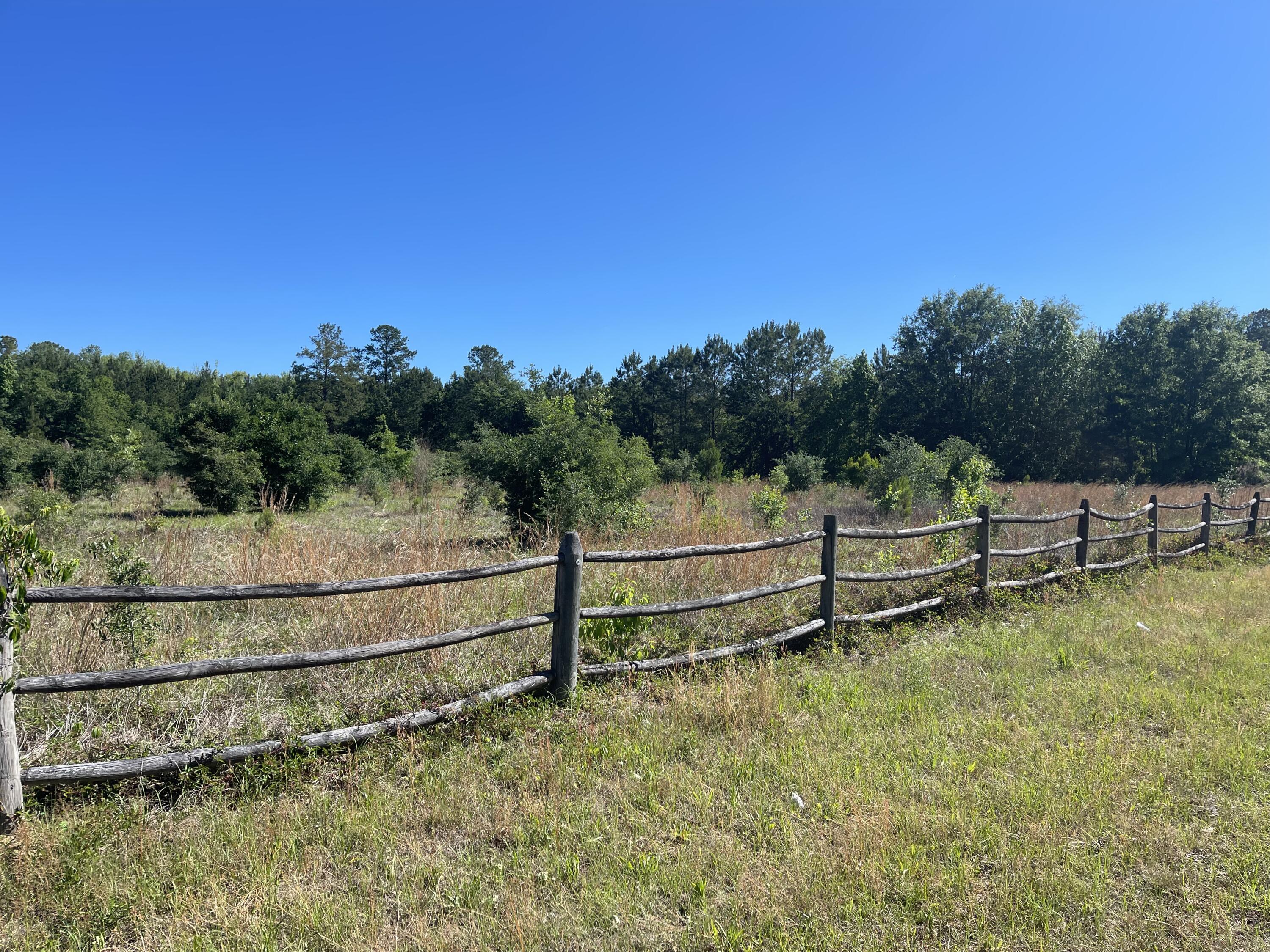 409 Tannenbaum Road Ravenel, SC 29470 - Photo 1 of 8 DJI_0803-Edit