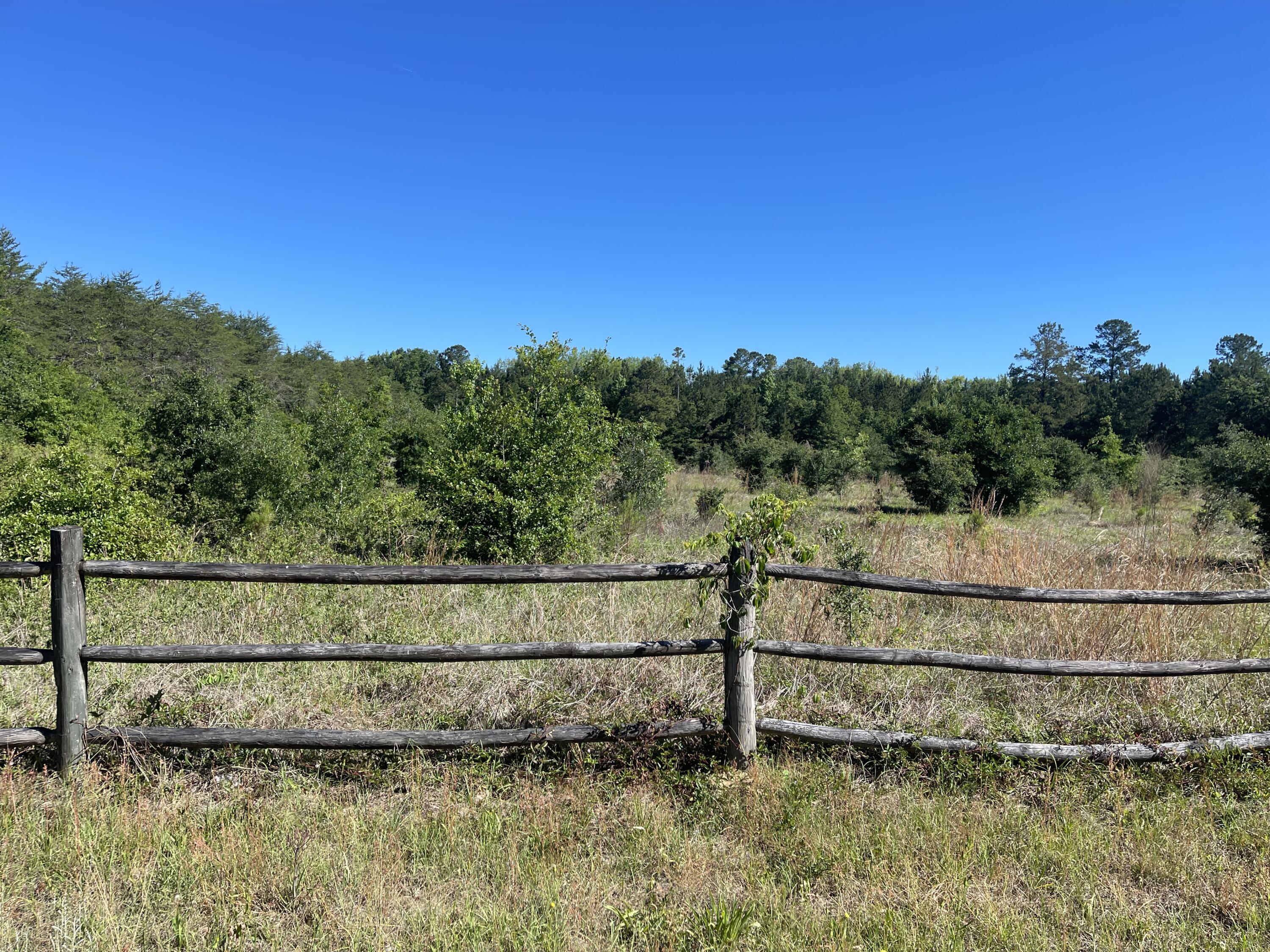 409 Tannenbaum Road Ravenel, SC 29470 - Photo 2 of 8 DJI_0808-Edit
