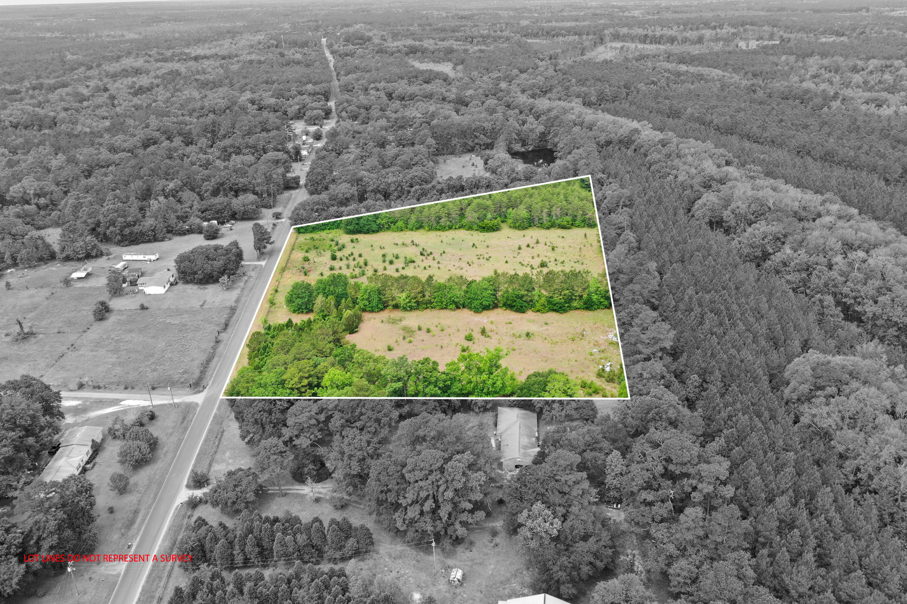 409 Tannenbaum Road Ravenel, SC 29470 - Photo 6 of 8 DJI_0828-Edit