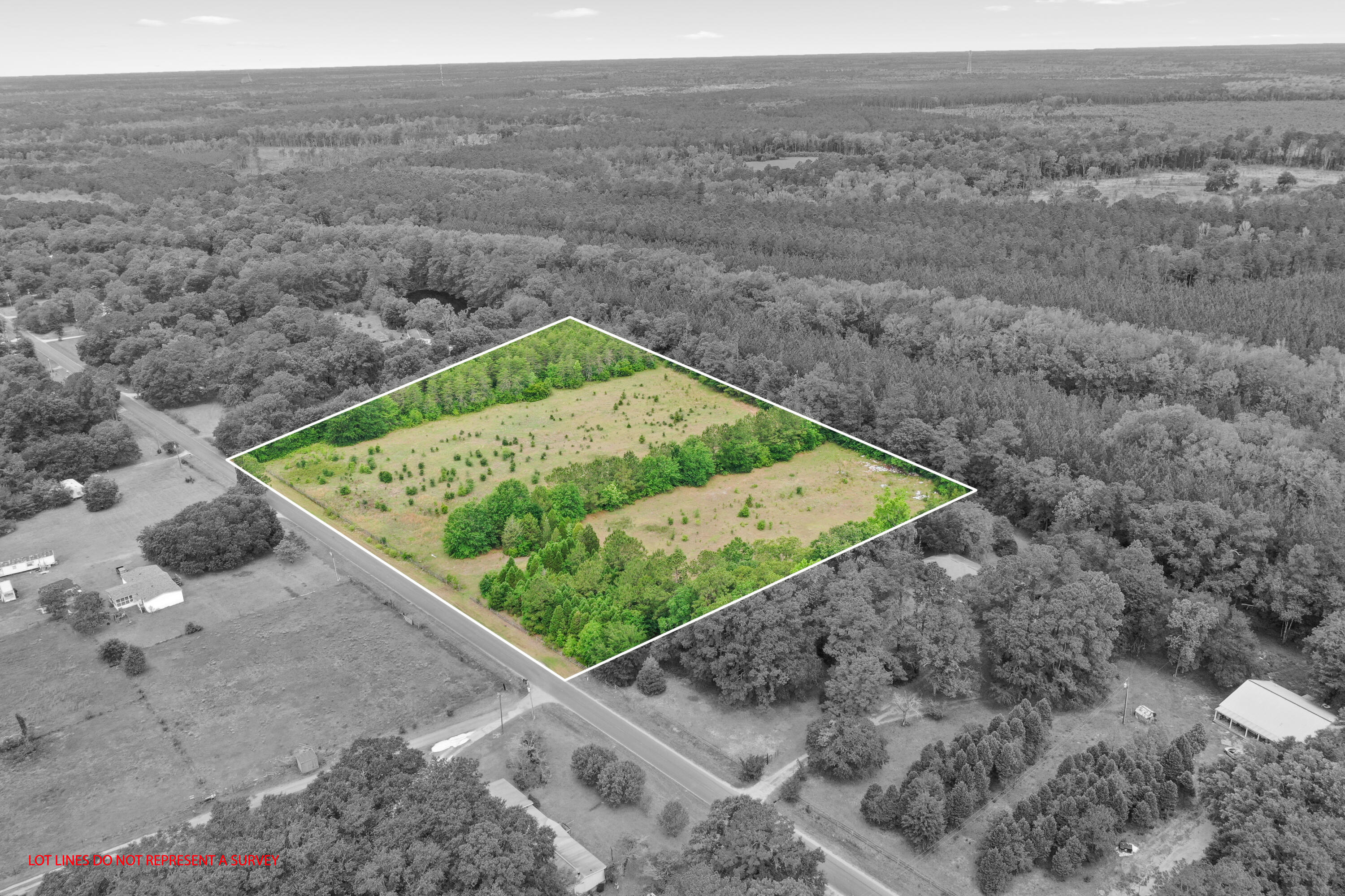 409 Tannenbaum Road Ravenel, SC 29470 - Photo 7 of 8 DJI_0833-Edit