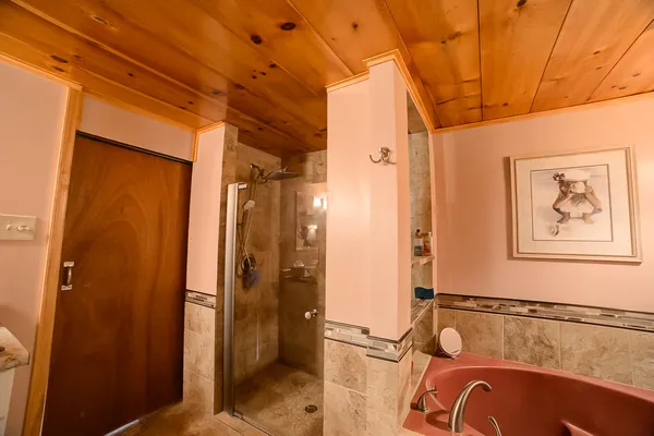 a bathroom with a tub and a shower