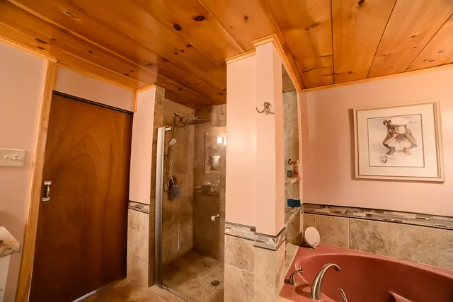 a bathroom with a tub and a shower
