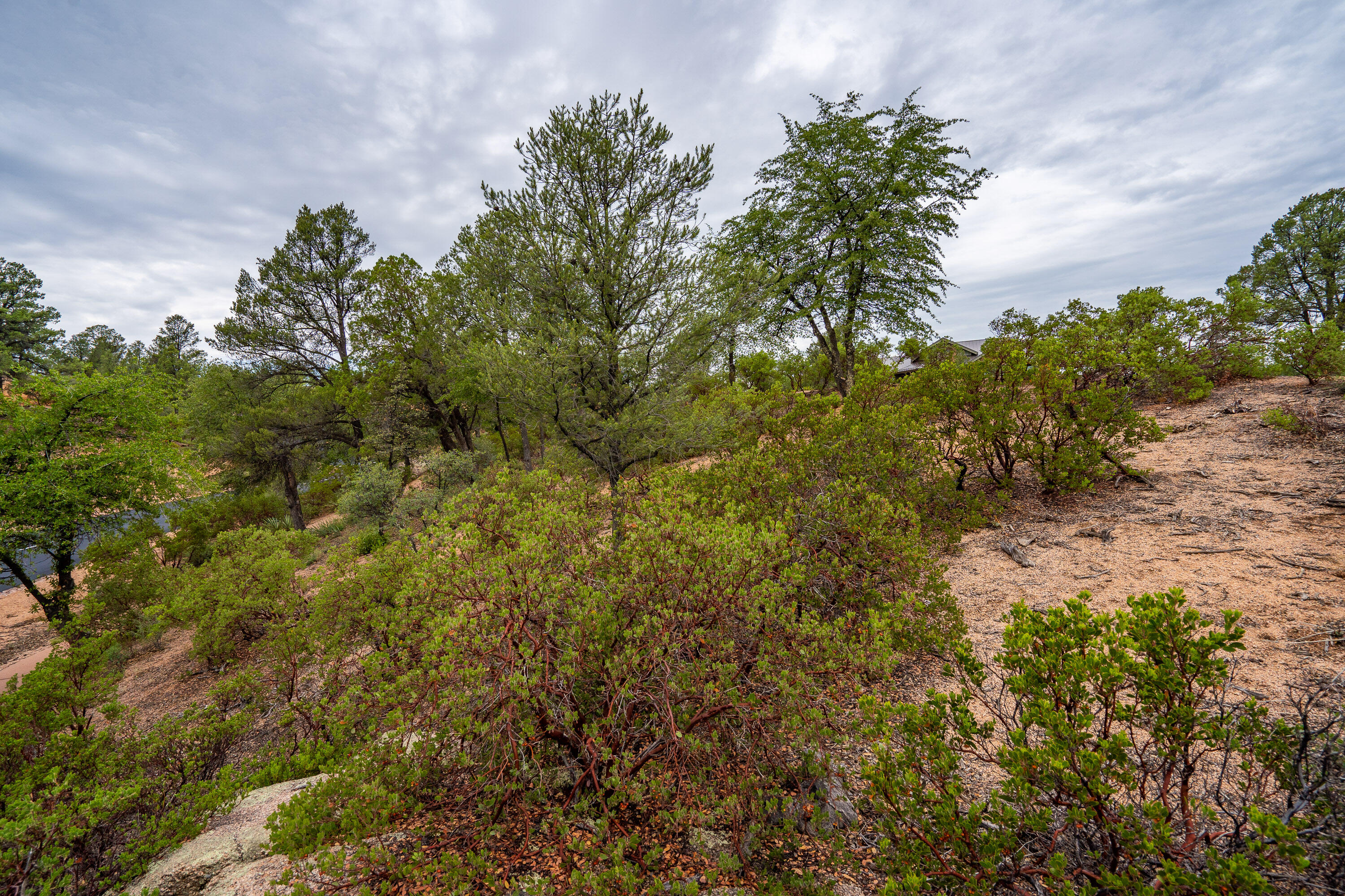 3001 East Arrow Point Payson, AZ 85541 - Photo 21 of 27 Gallery Image 21