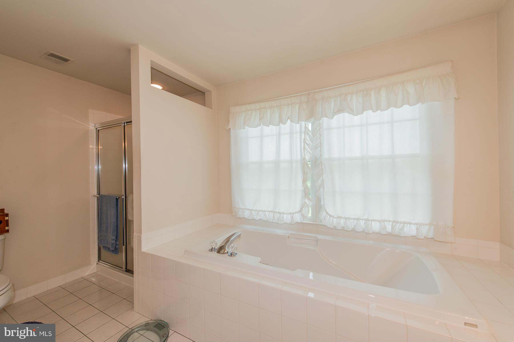 3927 Sharp Road Glenwood, MD 21738 - Photo 21 of 30 Bath (Master)