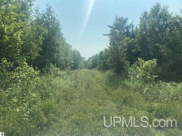 Tbd Tbd County Line Road Pelkie, MI 49958 - Photo 3 of 5