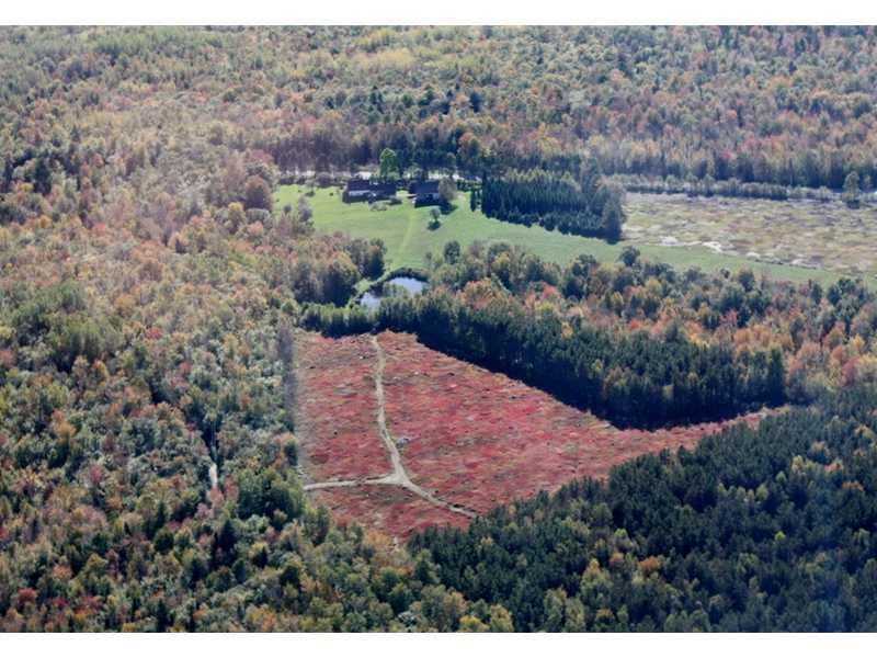 125 Happytown Road Ellsworth, ME 04605 - Photo 12 of 31 Aerial View. Blueberry field